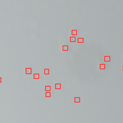 Painted aircraft surface with pinhole defects each boxed by the detector